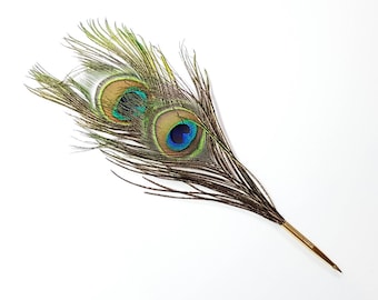 Deluxe Ballpoint Pen - Natural Peacock Feather