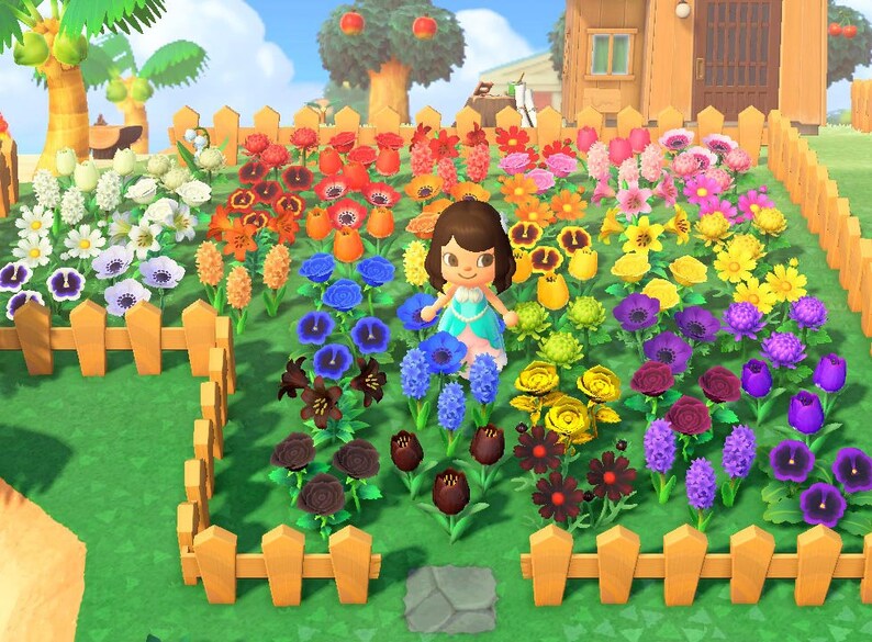 Flowers Animal Crossing New Horizons Rose Cosmo Lily Tulip Etsy