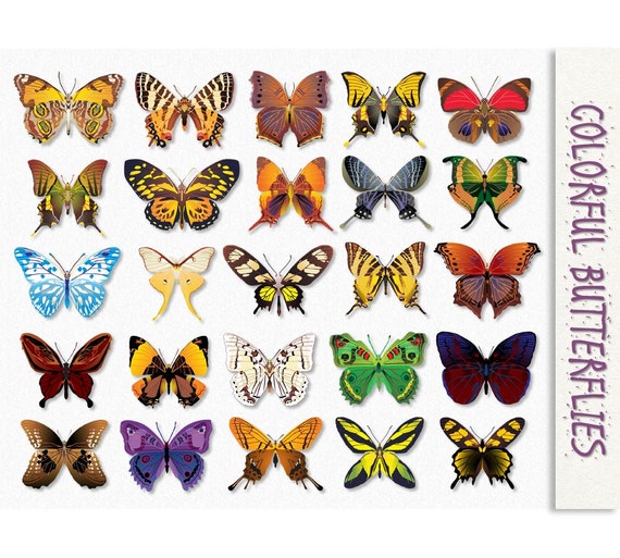 Featured image of post Colorful Printable Butterfly Images