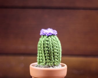 May include: A handcrafted crochet cactus in a small terracotta pot. The cactus is green with a purple flower. The pot is on a wooden surface.