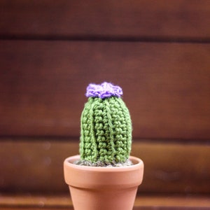Mini Crochet Cactus in flowerpot