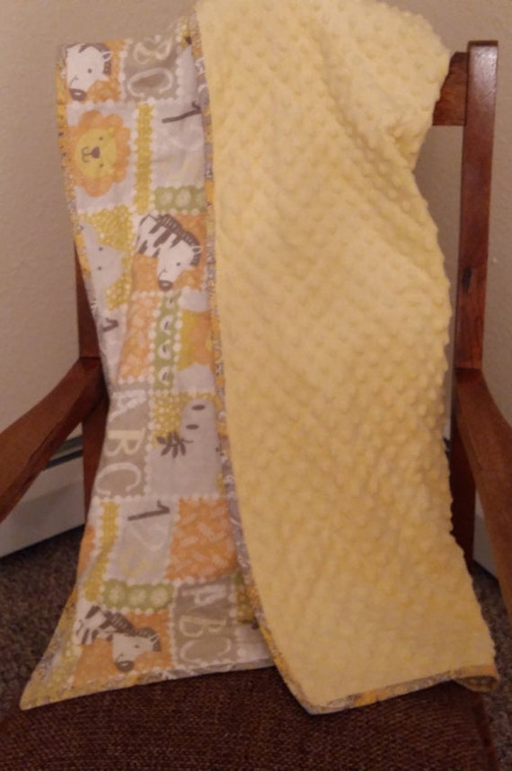 Flannel and Dotted Minky Baby Blanket, Flannel Blanket