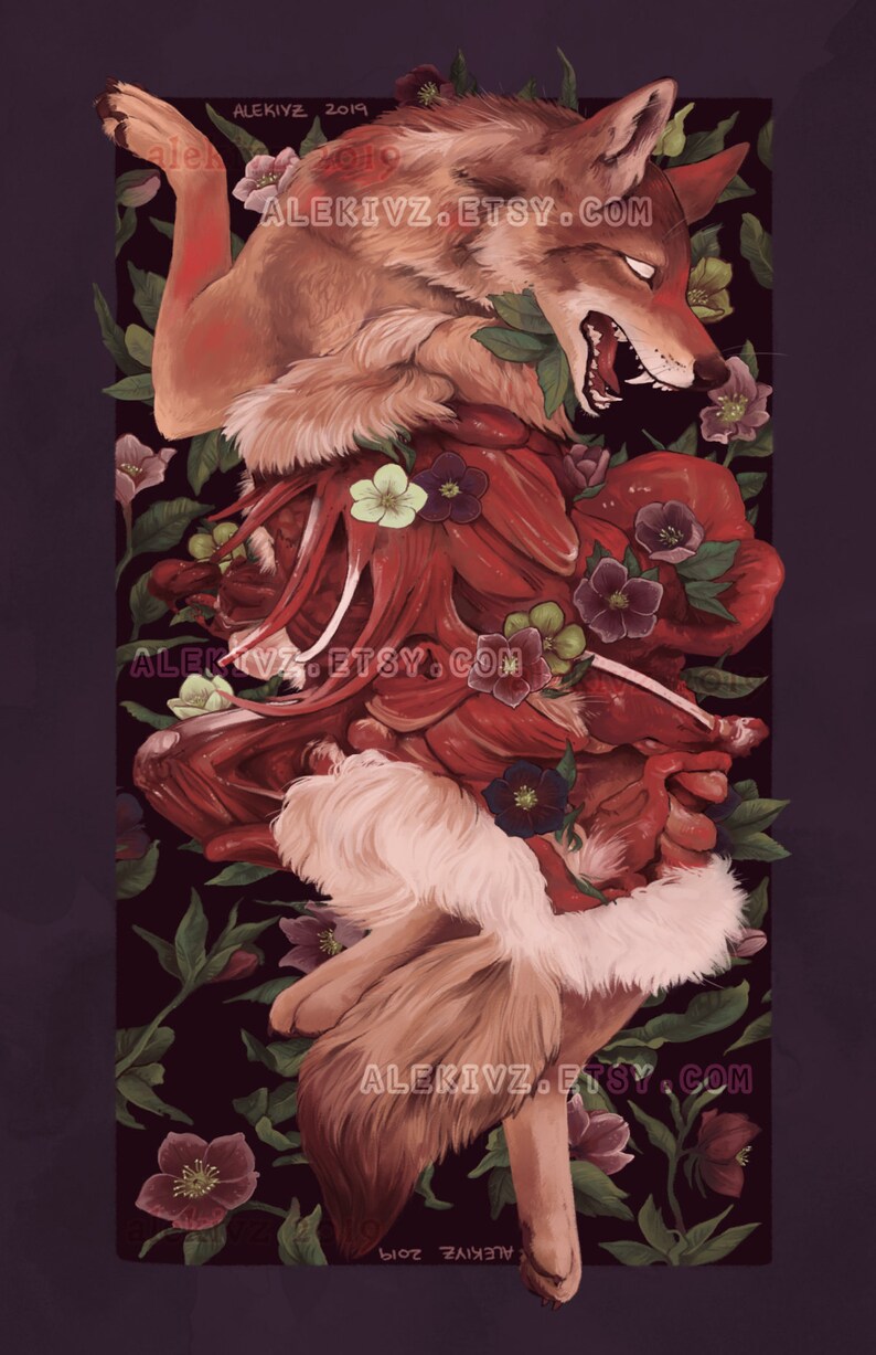 Hellebore 11x17 Red Coyote Gore Art Print