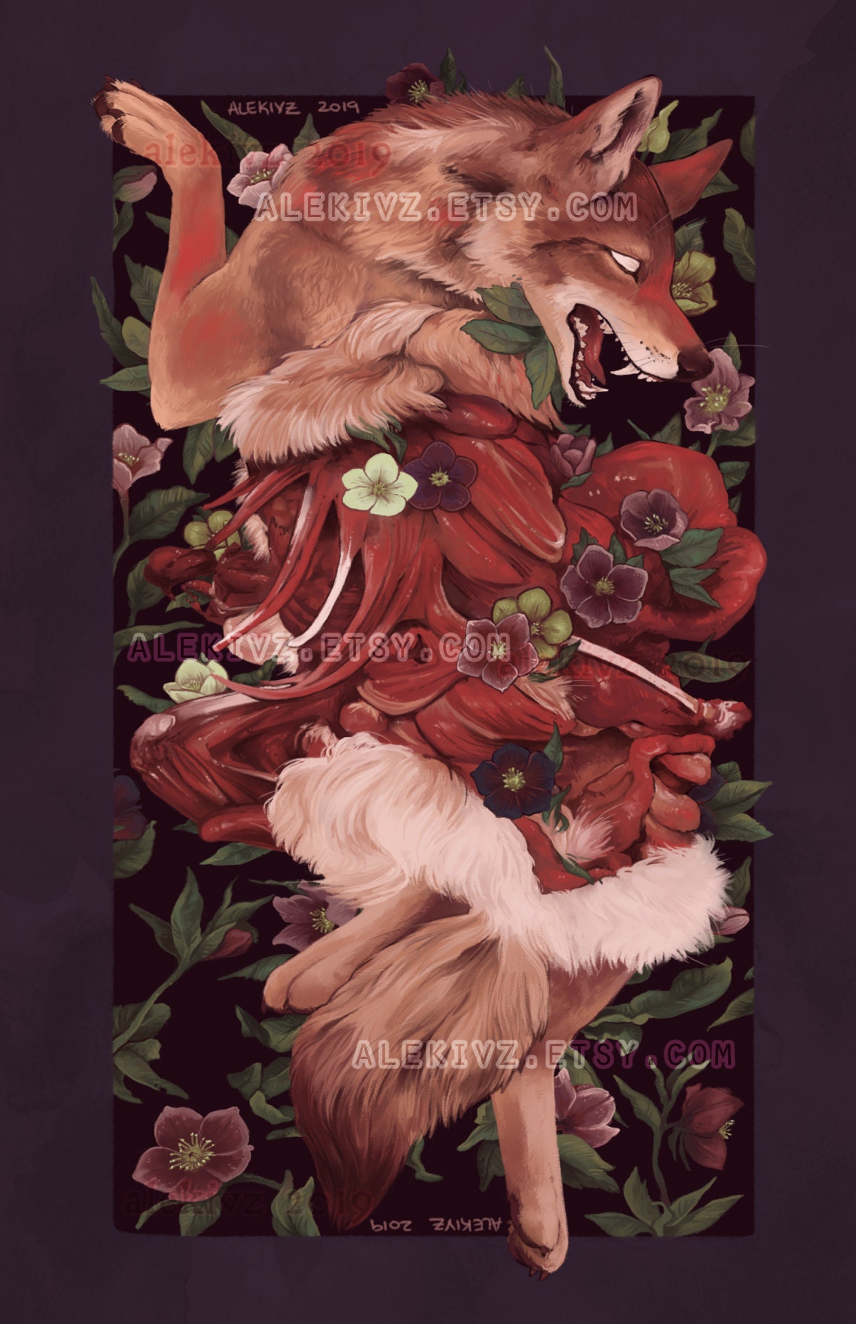 Hellebore 11x17 Red Coyote Gore Art Print