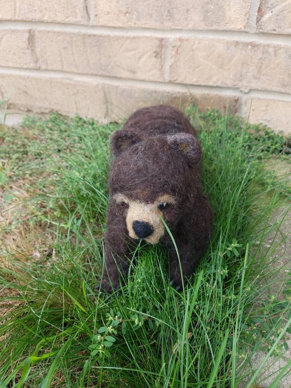 fluffy black bear