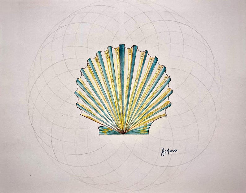 Geometric Shells Layout Scallop Shell - Hand Drawn Geometric Coastal Decor - Etsy