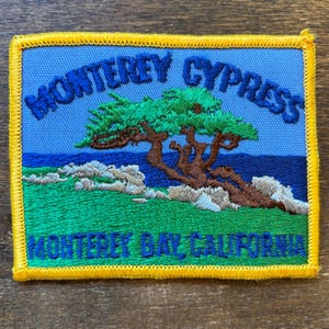 LAST ONE! Monterey Cypress, Monterey Bay, California Vintage Souvenir Travel Patch from Holm Patches