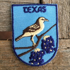 May include: A shield-shaped embroidered patch with a light blue background. It features a brown and cream-colored bird perched on a brown branch above dark blue and cream flowers. The word TEXAS is embroidered in dark blue at the top center.