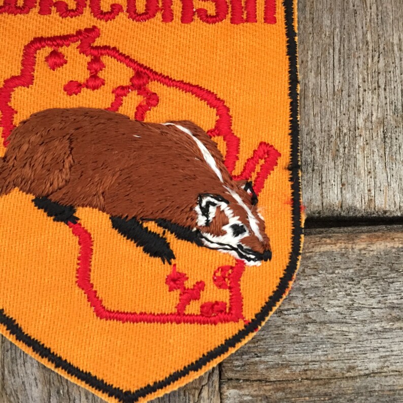 Wisconsin Vintage Souvenir Travel Patch by Voyager Etsy