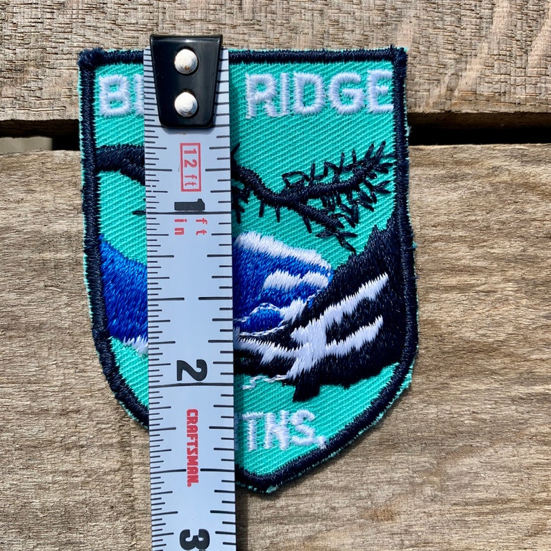 Blue Ridge Rifles Patch Blue Ridge Parkway, Virginia Vintage Souvenir Travel Patch From Voyager ...