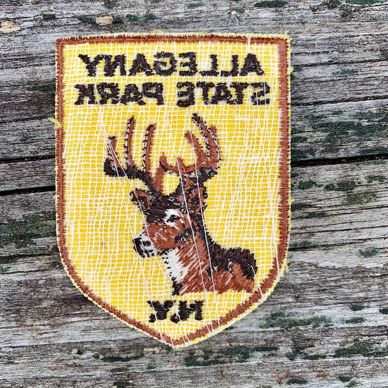 Allegany State Park New York Vintage Souvenir Travel Patch from Voyager ONLY ONE