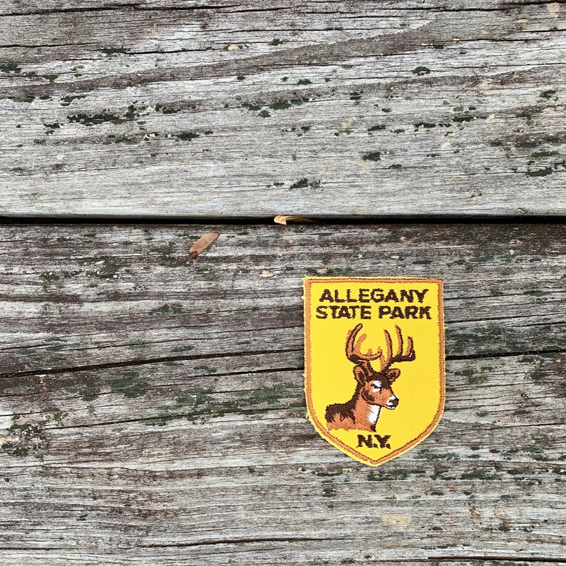 Allegany State Park New York Vintage Souvenir Travel Patch from Voyager ONLY ONE