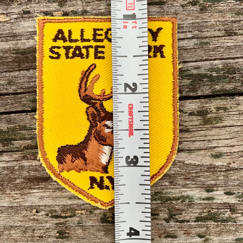 Allegany State Park New York Vintage Souvenir Travel Patch from Voyager ONLY ONE
