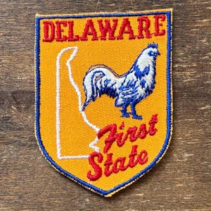 Delaware Vintage Souvenir Travel Patch from Voyager