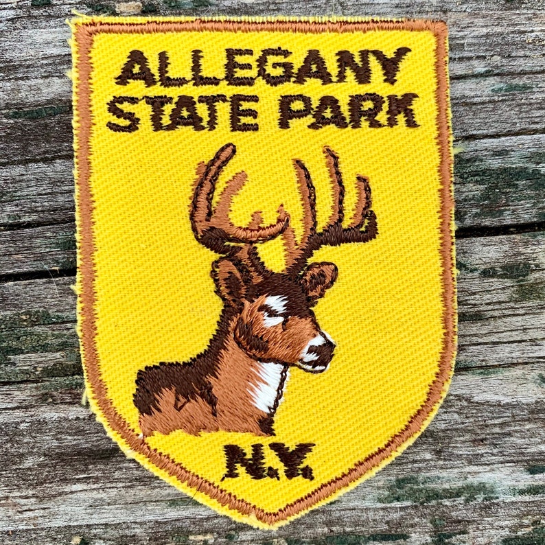 Allegany State Park New York Vintage Souvenir Travel Patch from Voyager ONLY ONE