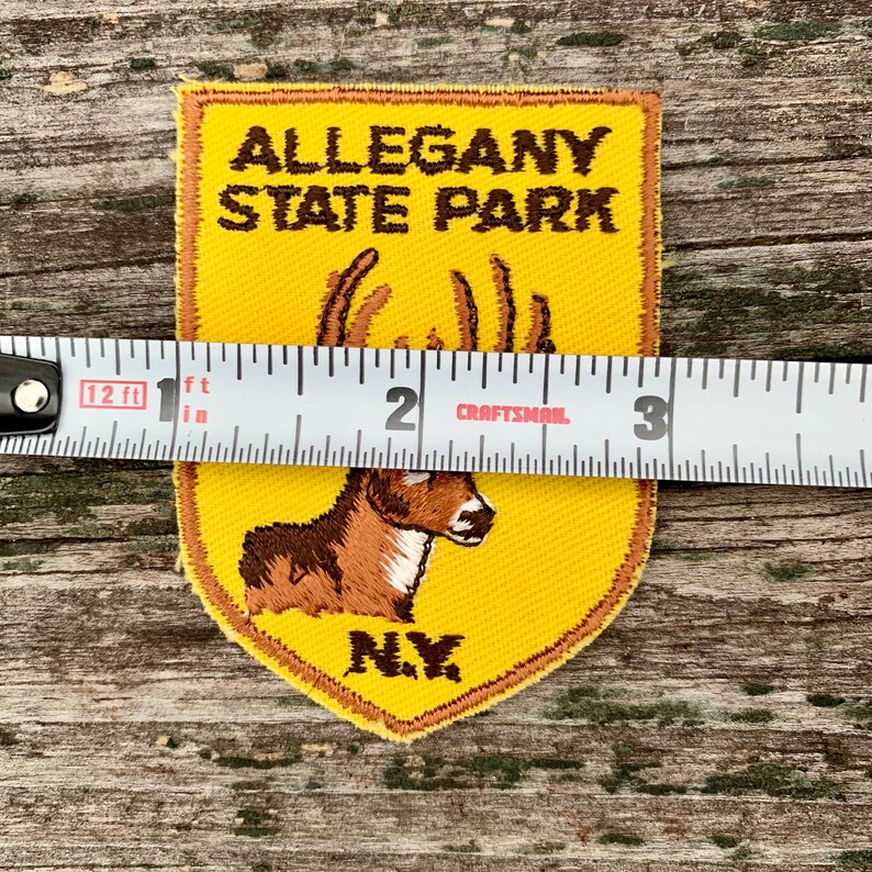 Allegany State Park New York Vintage Souvenir Travel Patch from Voyager ONLY ONE