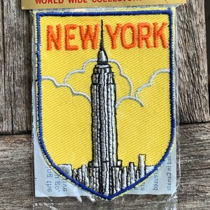 Allegany State Park New York Vintage Souvenir Travel Patch from Voyager ONLY ONE