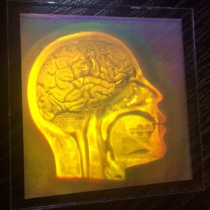 May include: A holographic image of a human head showing a detailed view of the brain and throat.