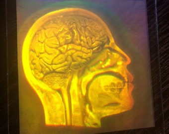 Two channel hologram- Brain Image