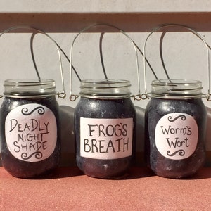 Può includere: Tre barattoli di vetro neri con etichette bianche e manici in filo di ferro argentato. Le etichette riportano "Deadly Night Shade", "Frog's Breath" e "Worm's Wort".