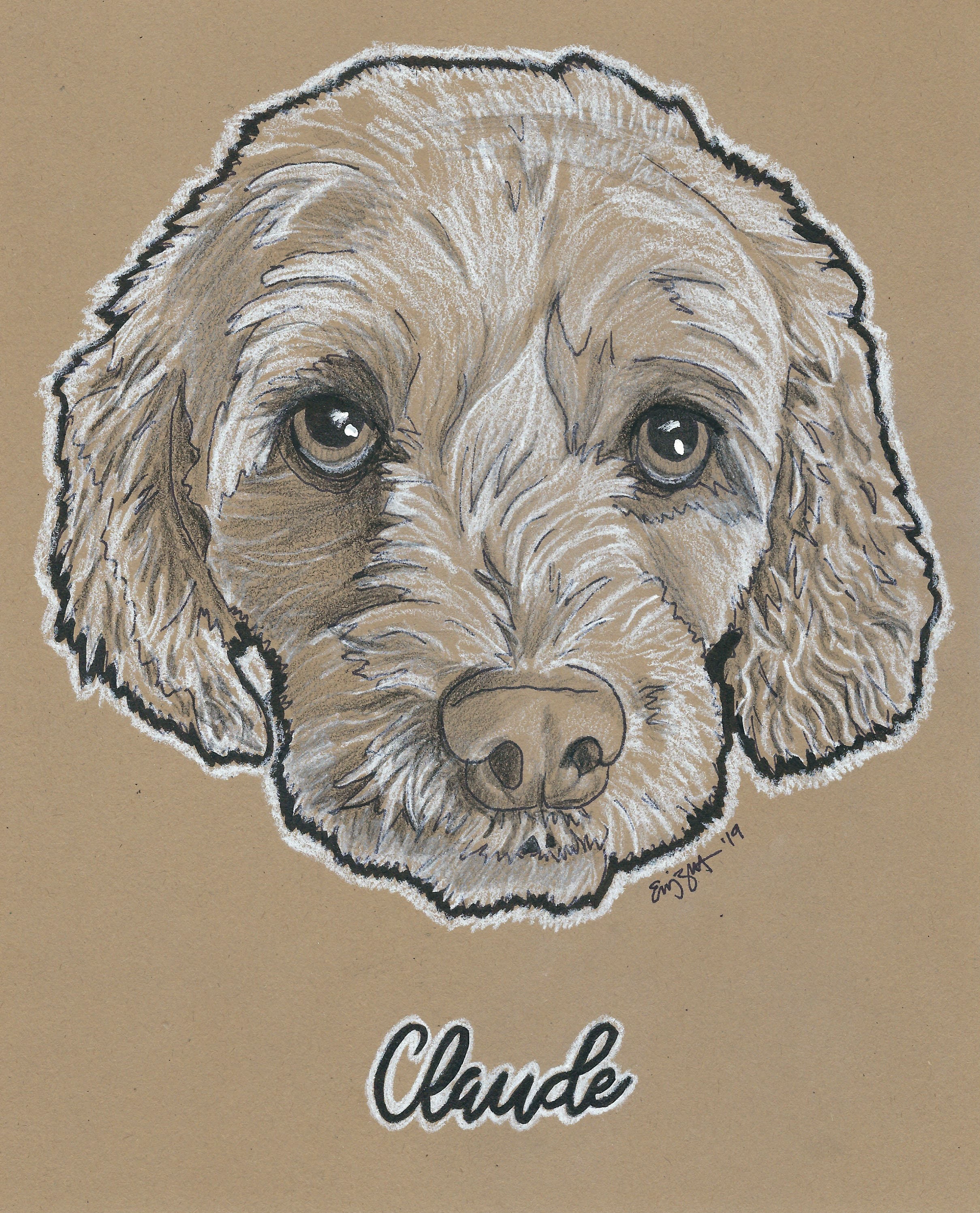 Custom Pet Portrait Charcoal Pet Portrait Pet Sketch Pet Drawing