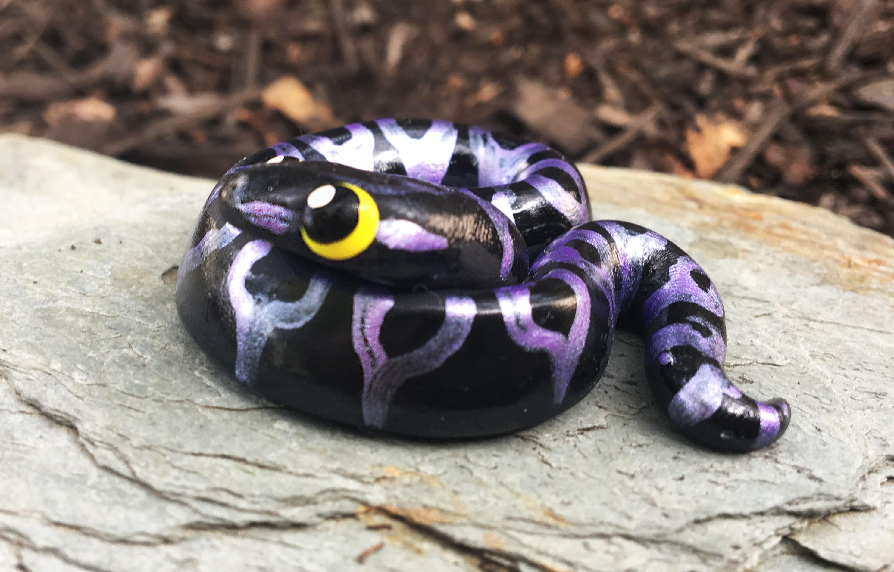 toy ball python