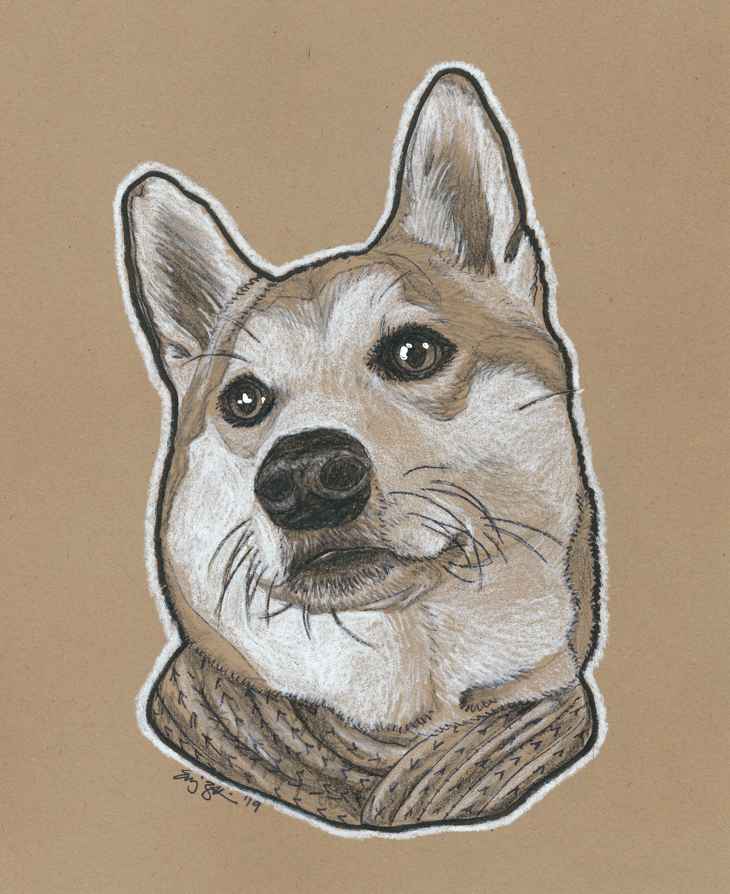 Custom Pet Portrait | Charcoal Pet Portrait | Pet Sketch | Pet Drawing | Dog Portrait | Cat Portrait Custom Pet Portrait | Charcoal Pet Portrait | Pet Sketch | Pet Drawing | Dog Portrait | Cat Portrait