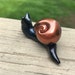 see more listings in the Snails section