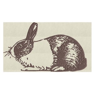 Silueta de conejito holandés Bordado ARCHIVO DE DISEÑO Descarga instantánea 2 tamaños y un color - Hus Dst Jef Pes Exp Vp3 - Conejito de PASCUA liebre