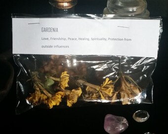 Dried Gardenia