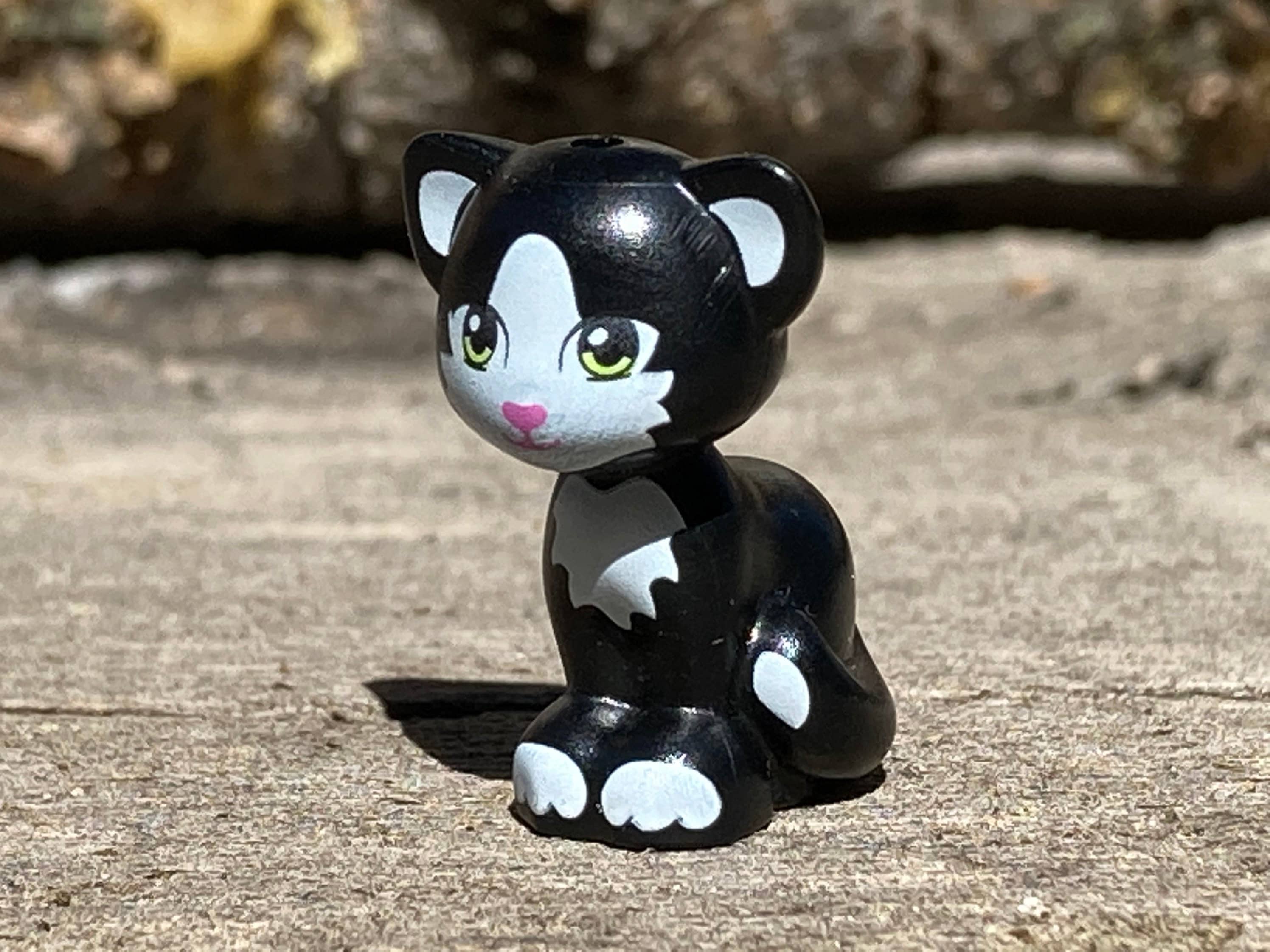 Cat, Sitting With Lime Eyes and a Dark Pink Nose With White