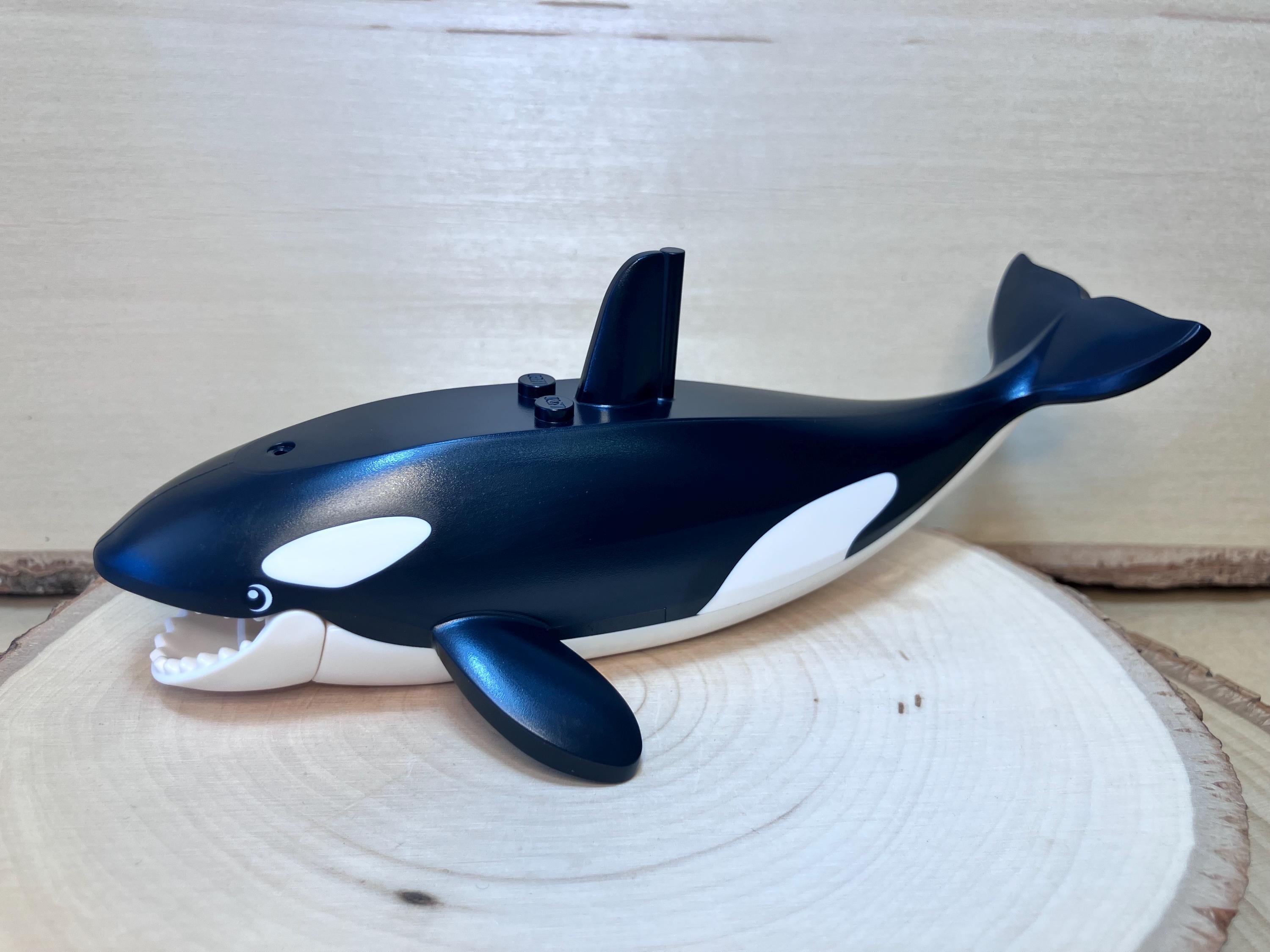 Black and White Orca Whale With Molded Spots & Printed Eyes