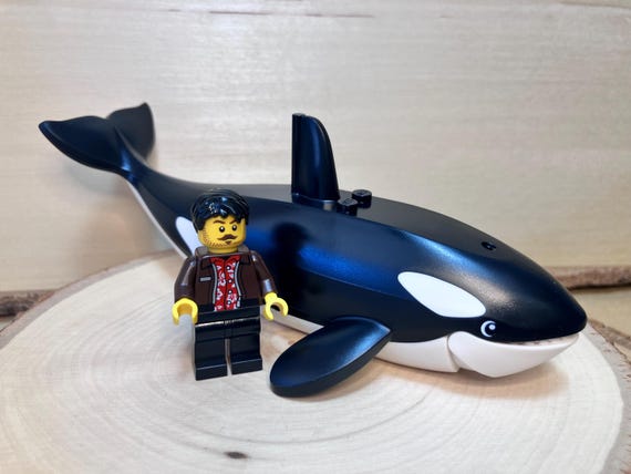 Black and White Orca Whale With Molded Spots & Printed Eyes