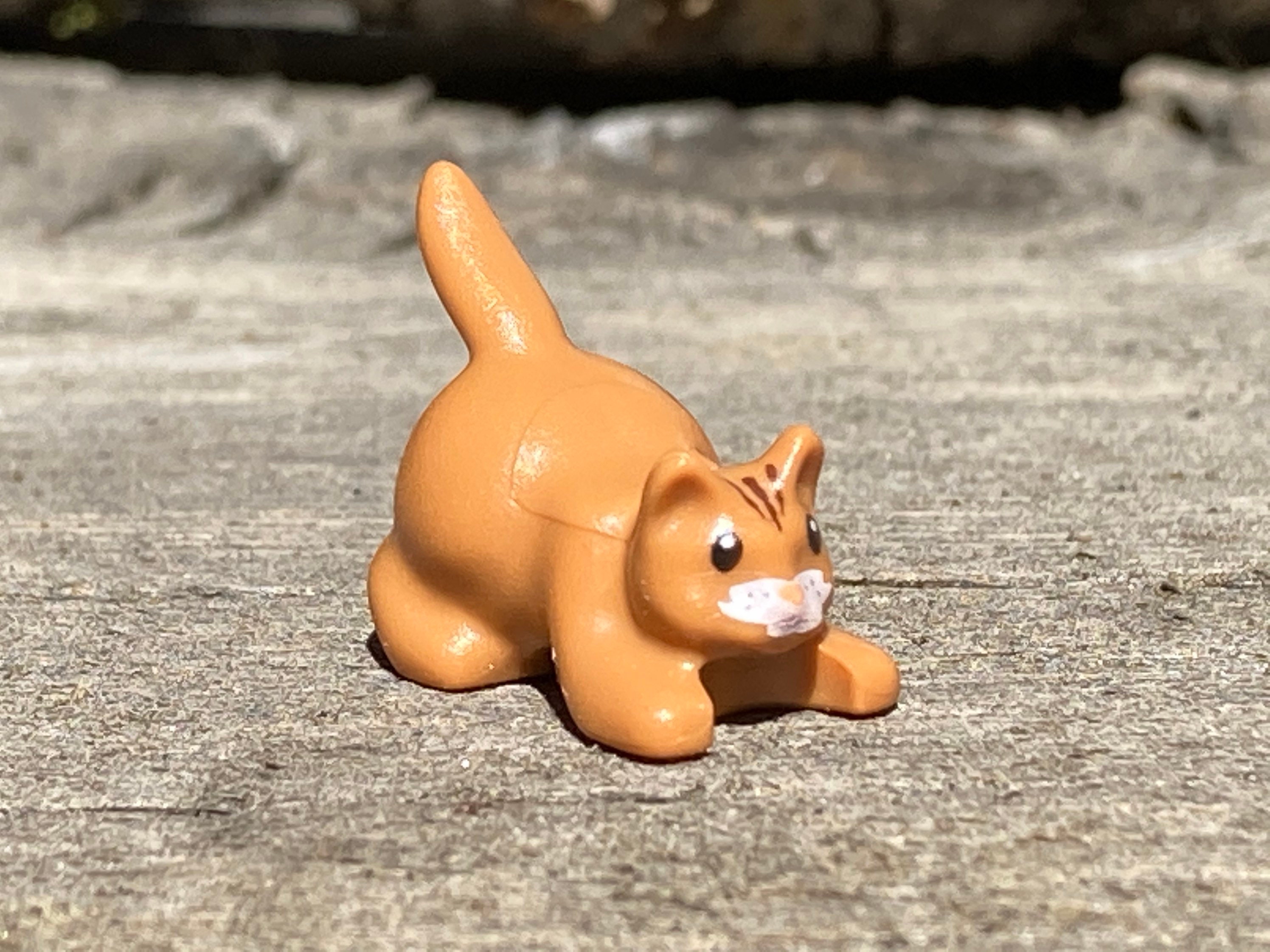 Medium Nougat Cat, Crouching With Black Eyes, Dark Brown Stripes