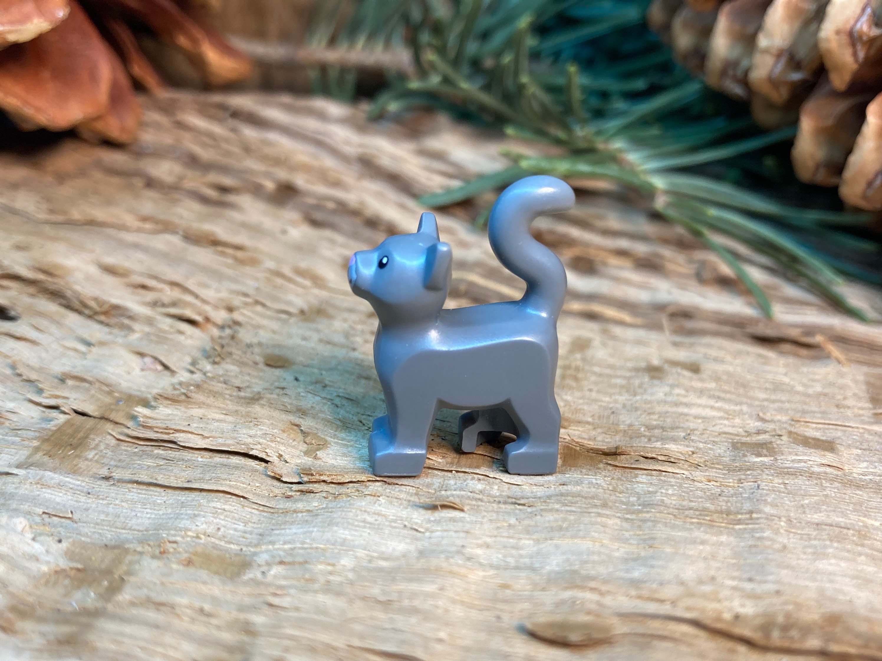 Dark Stone Gray Cat Standing With White Muzzle and Bright Pink
