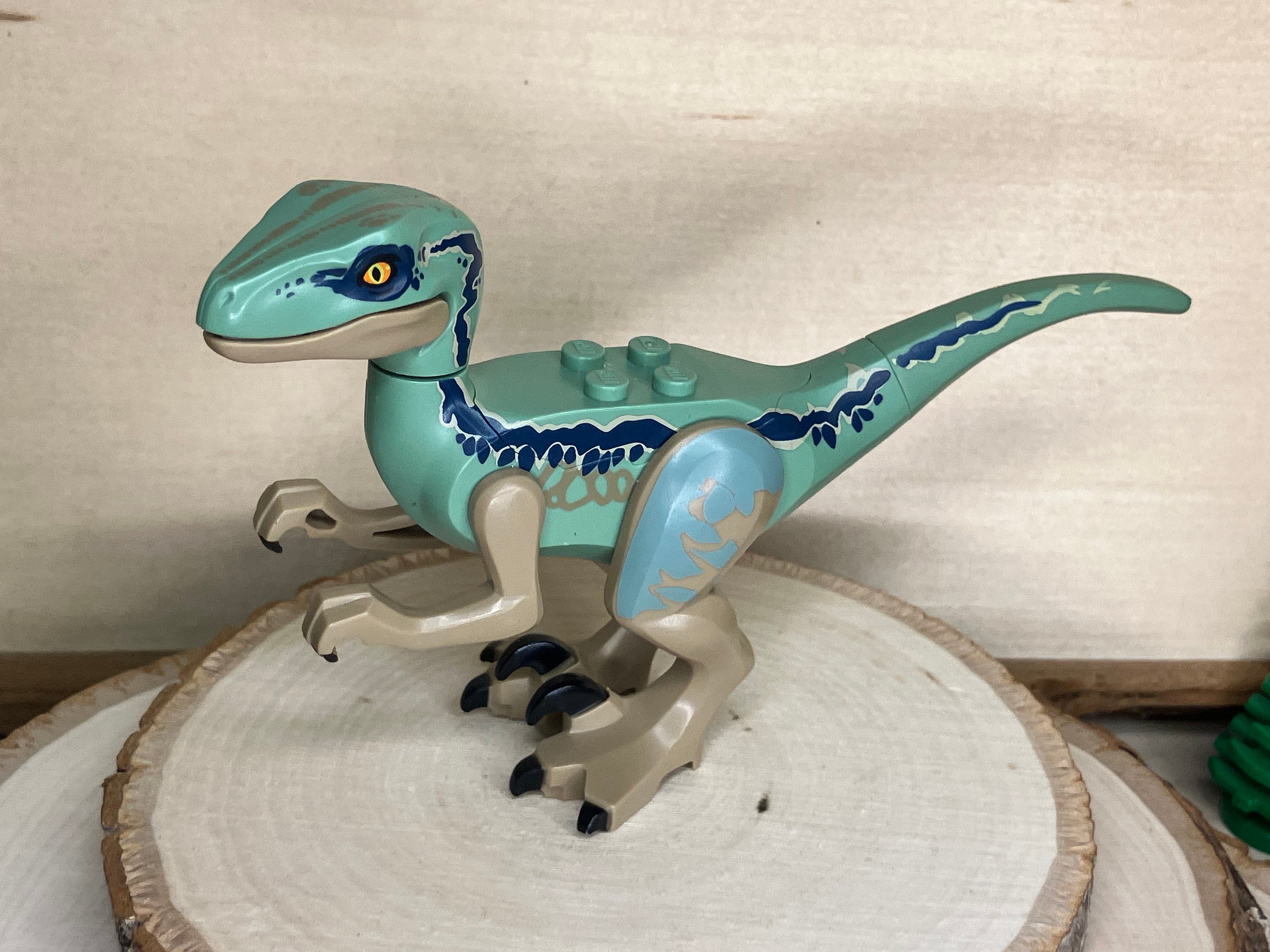 Sand Green Dinosaur Raptor / Velociraptor With Sand Green Back