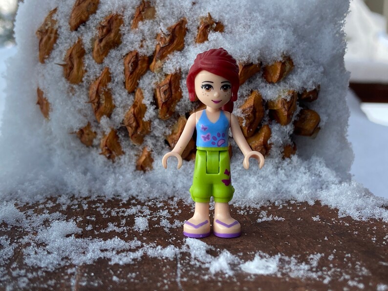 Puede incluir: Una peque&ntilde;a mu&ntilde;eca de pl&aacute;stico con cabello rojo, un top azul y morado, pantalones verdes con un dise&ntilde;o de huella de pata y sandalias moradas. La mu&ntilde;eca est&aacute; de pie sobre una superficie marr&oacute;n cubierta de nieve.