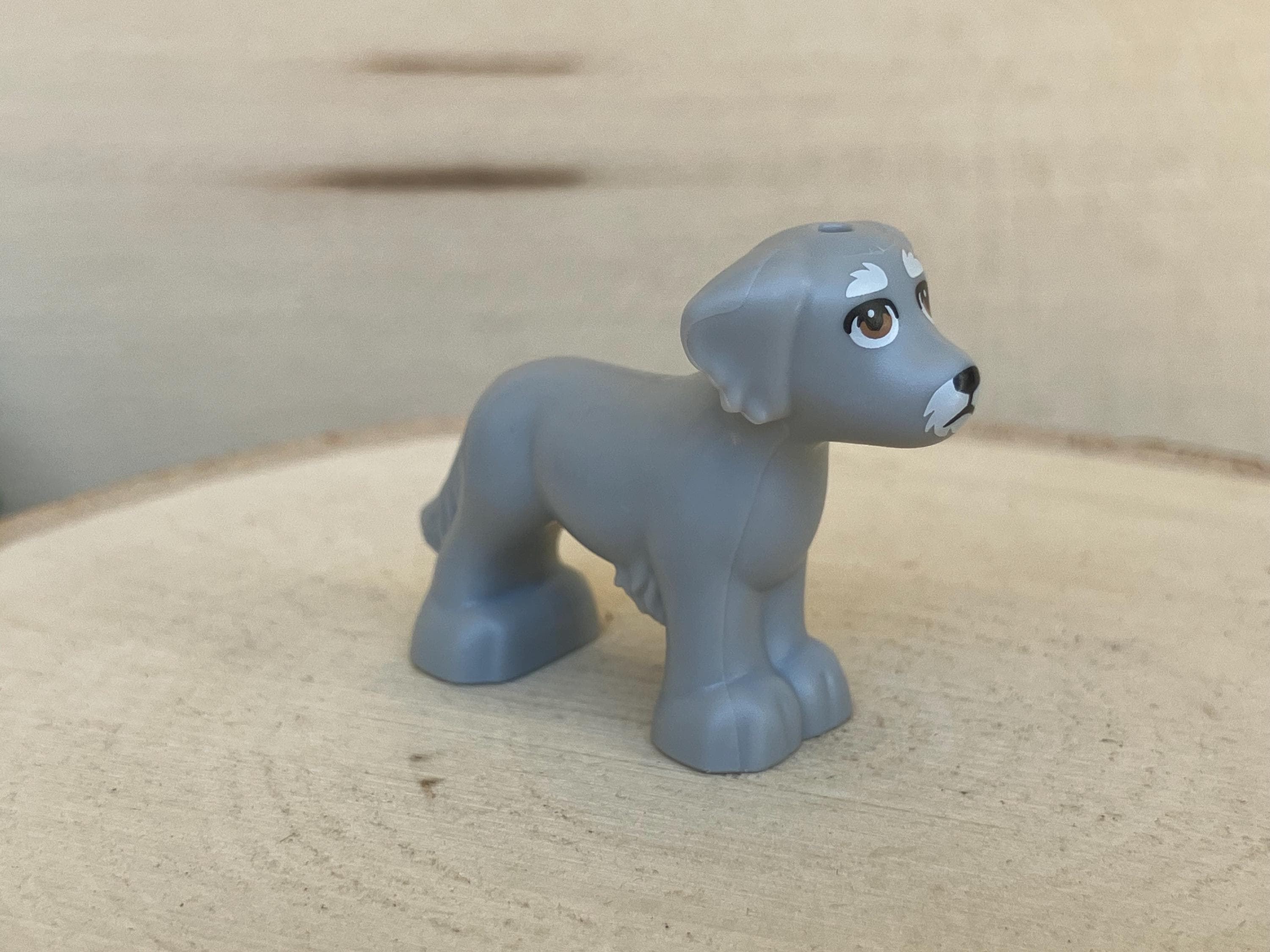 Light Bluish Gray Dog With Shaggy Fur, Ears, and Tail With Medium