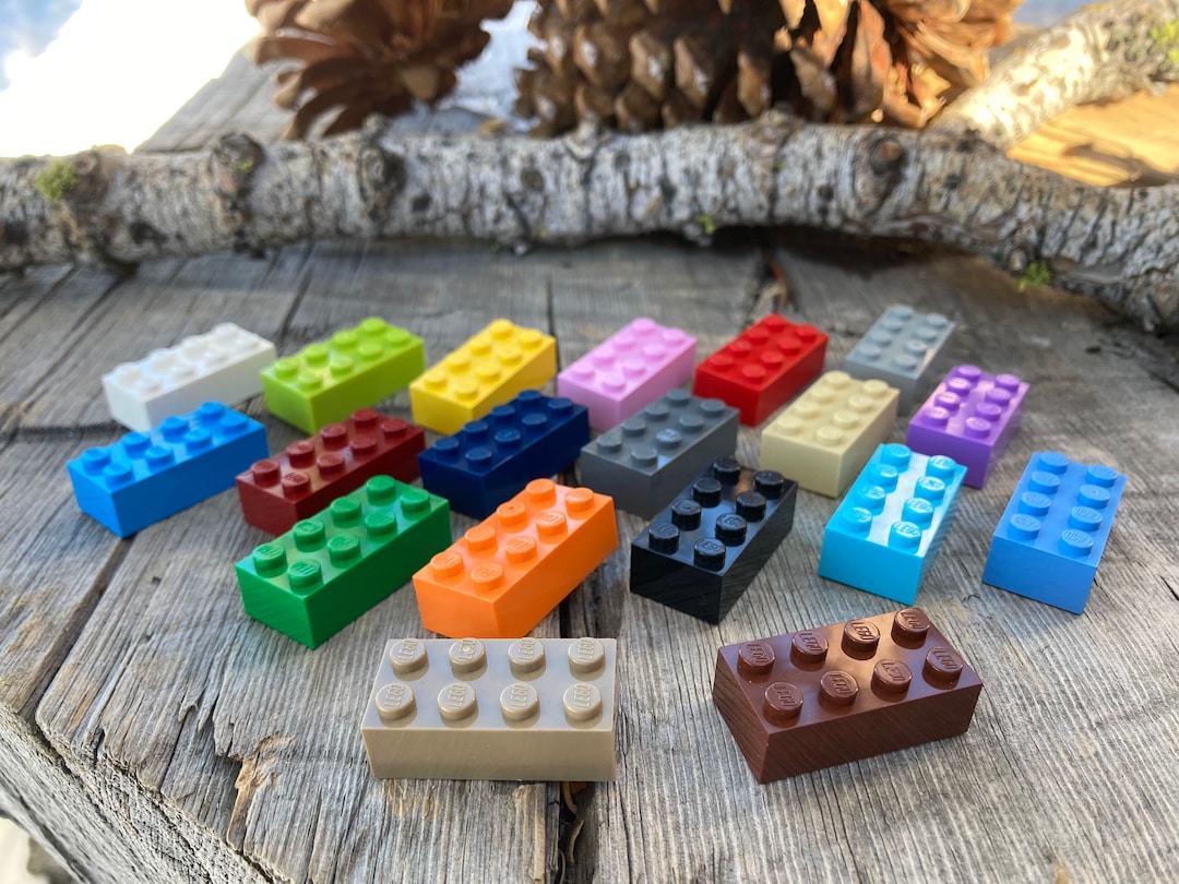LEGO 2x4 Brick Mix Lot de 50 blocs 4x2 -  France