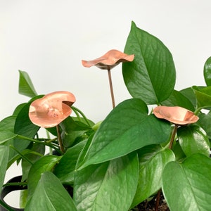 Kupfer Blumen Pflanzenstecker, 3er Set Dekorative Blumenstecker für Zimmerpflanzen, Miniblüten