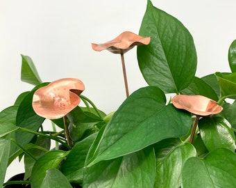 Copper Flower Plant Stakes: Decorative Indoor Plant Blooms, Set of 3