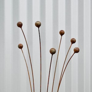 K&ouml;nnte beinhalten: Eine Metallskulptur aus einer Gruppe rostiger brauner Stiele mit runden, kugelf&ouml;rmigen Spitzen.