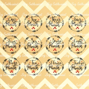 Monatliche Meilenstein SVG, Baby Geburtstag SVG, Baby Meilenstein Svg, Pfeil Rahmen SVG, Baby Meilenstein Bundle SvG, Baby Monat SvG, Clipart, Kindergarten,