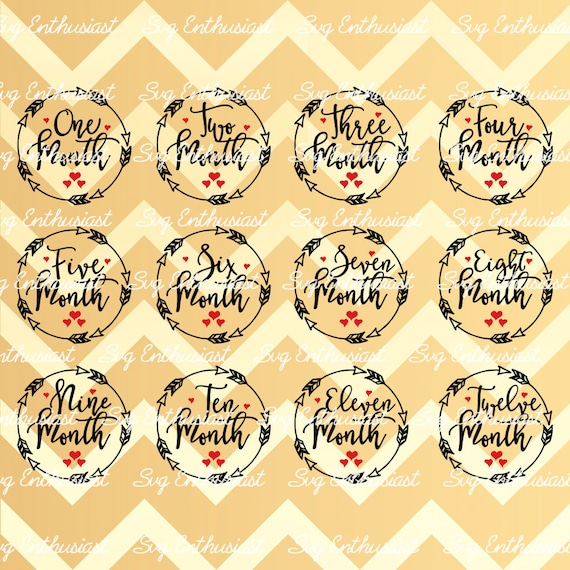 Download Monthly Milestone Svg Baby Birthday Svg Baby Milestone Svg Etsy