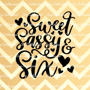 Sweet sassy en Six SVG, 6th SVG, Sixth Birthday SVG, 6th Birthday Svg, 6 & Sassy Svg, Svg voor cricut , Clip Art, Iron in file