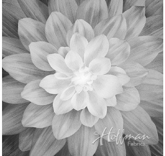 Dream Big Flower Panel From Hoffman Fabrics Big Dramatic Etsy