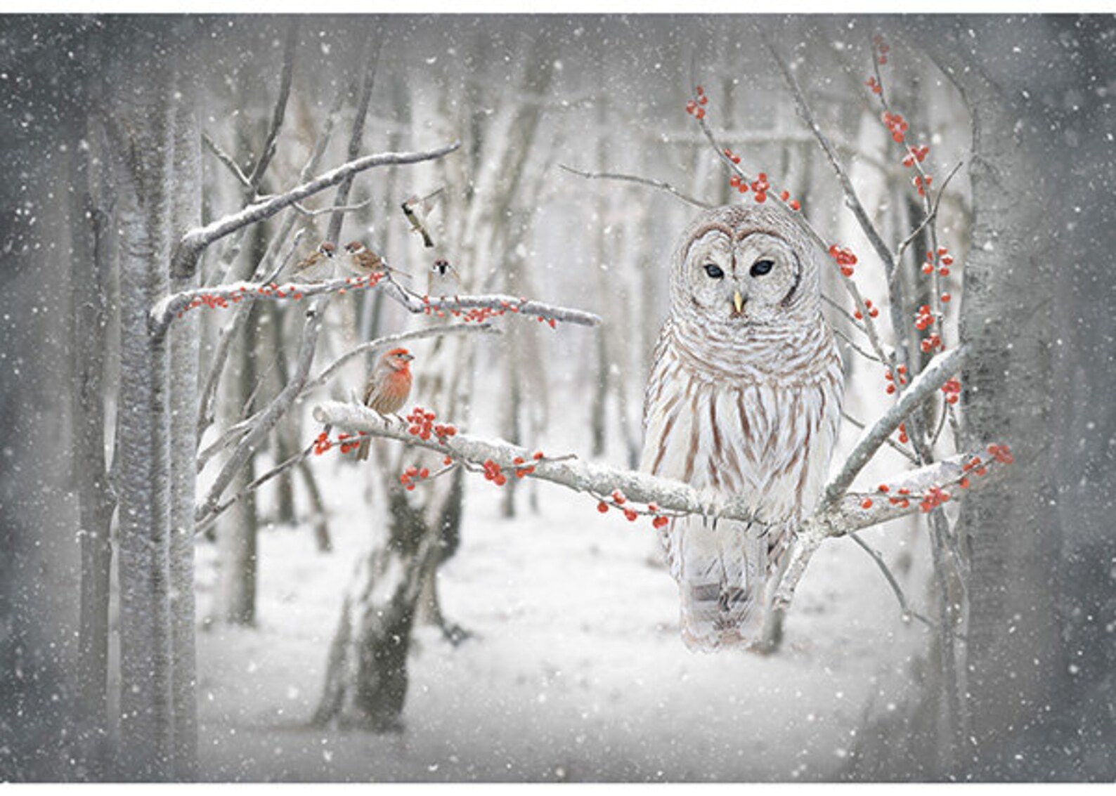 Owl quilting panel panelfabric panel owl fabric owl and Etsy