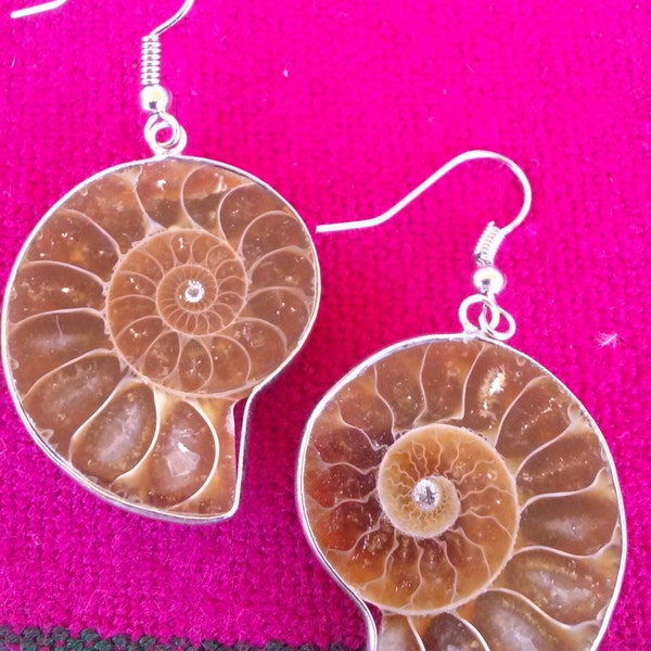 Fossil Ammonite Earrings - Healing Jewelry