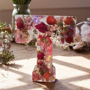 Letra de resina LED personalizada / Flores secas reales / Recuerdo floral personalizado / Regalo para ella / Iniciales de bebé / Carta conmemorativa / Decoración navideña