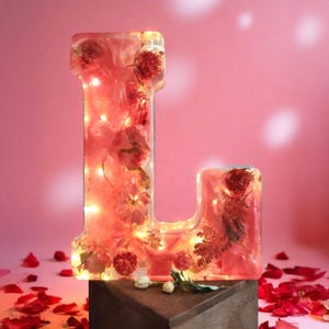 Custom LED Resin Letter | Real Dried Flowers | Personalized Floral Keepsake | Clear Epoxy Resin Decor, Birth Month Flower | Made for You